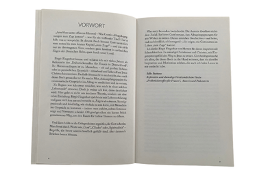 Buch "Anschluss unter offenem Himmel" von Birgit Fingerhut