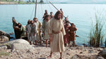 Lade das Bild in den Galerie-Viewer, DVD - „Jesus Film“ (16 arab. Sprachen - 120min.)
