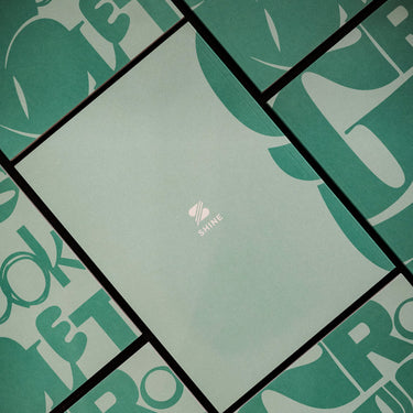 SHINE Groups Booklet